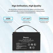 Renogy 12V 100Ah Bluetooth Smart LiFePO4 Battery