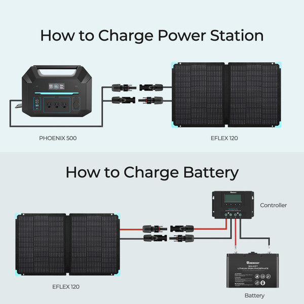 Renogy E.FLEX120 Portable Solar Panel