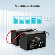 Renogy 12V 100Ah Bluetooth Smart LiFePO4 Battery