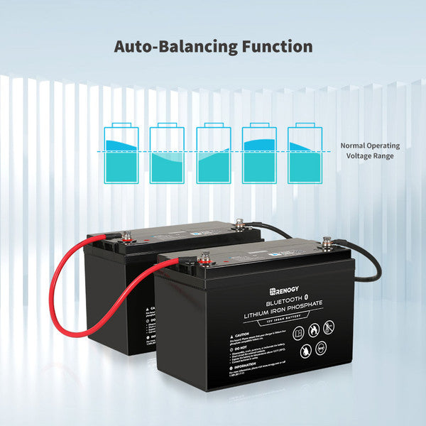 Renogy 12V 100Ah Bluetooth Smart LiFePO4 Battery