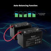 Renogy 12V 100Ah Smart Lithium Iron Phosphate Battery w/ Self-Heating Function