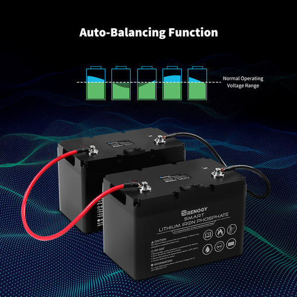 Renogy 12V 100Ah Smart Lithium Iron Phosphate Battery w/ Self-Heating Function