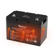 Renogy 12V 100Ah Smart Lithium Iron Phosphate Battery w/ Self-Heating Function