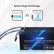 Renogy 12V 200Ah Lithium Iron Phosphate Battery w/ Bluetooth